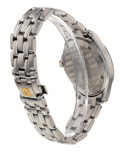 Omega Seamaster 120m 2511.80.00 Image 3